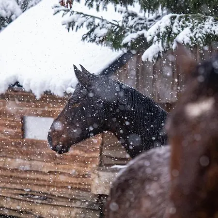 Ranč Pod Hájom Alojamento de Turismo Rural Bobrovec
